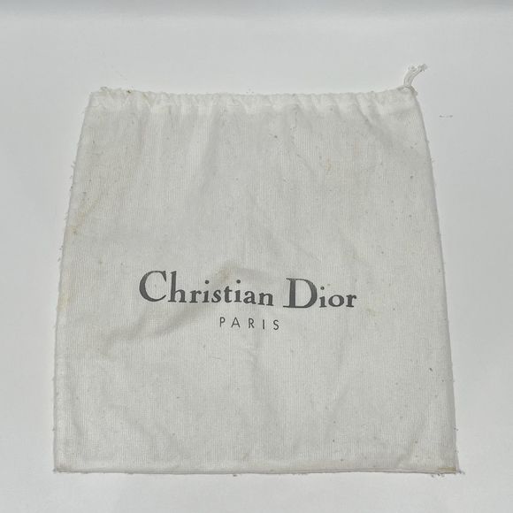 Dior Pouch Bag Christian Shoulder Transfer  Print Saddle - Picture 11 of 12